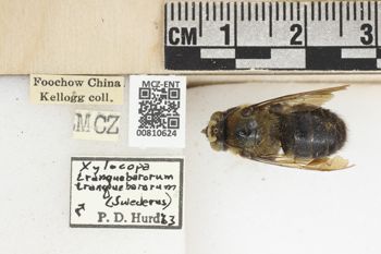 Media type: image;   Entomology 810624 Aspect: labels